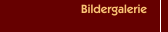 Bildergalerie
