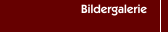 Bildergalerie